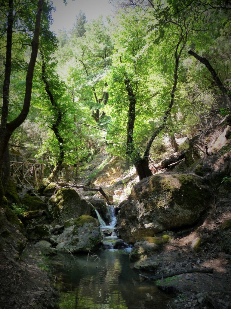 Vallée des Papillons Rhodes