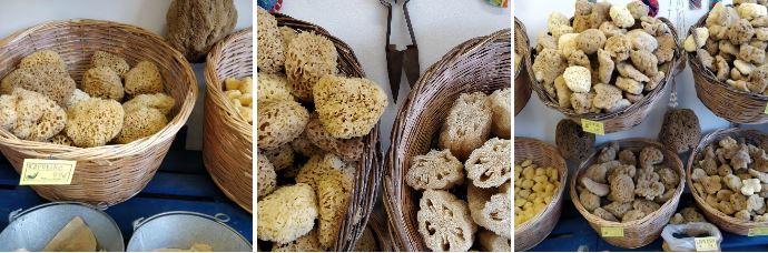 Eponges naturelles