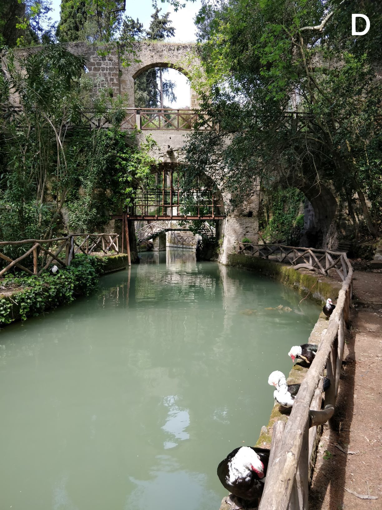 Rhodes  Le Parc Rodini, une balade familiale  Rhodes Vacances