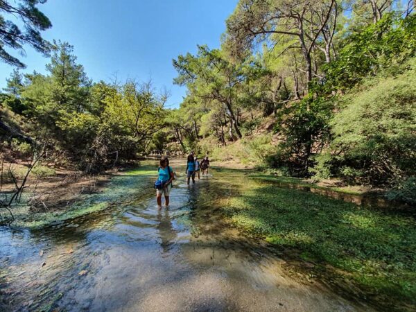 Randonnée dans la vallée des 7 sources à Rhodes