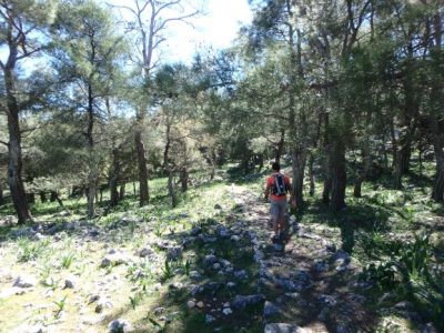 randonnée_rhodes_grèce (4) Randonnée à Profitis Ilias